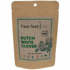 Dutch White Clover - 1kft.