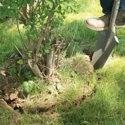 Radius Root Slayer XL 11 Radius Root Slayer XL -gardening Sales Store 22511 1