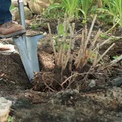 Radius Root Slayer XL 10 Radius Root Slayer XL -gardening Sales Store 22511 3 1