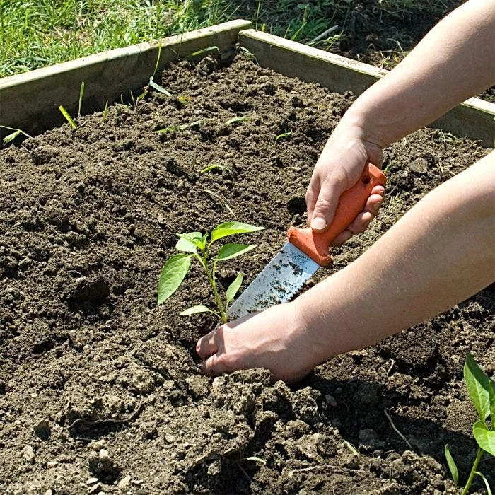 Leonard Classic Soil Knife And Sheath Combo 5 Leonard Classic Soil Knife And Sheath Combo - Image 3