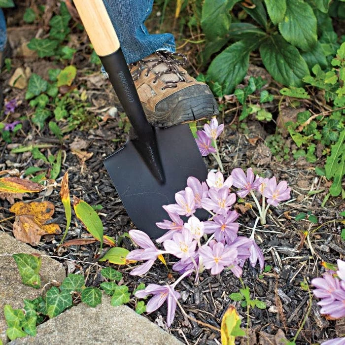 Leonard Floral Shovel Straight Handle 7 Leonard Floral Shovel Straight Handle - Image 5