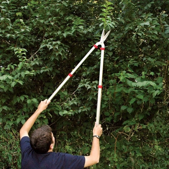 ARS 6-inch Blade Hedge Shears, Telescoping 28.25 - 41.5 Inches 4 ARS 6-inch Blade Hedge Shears, Telescoping 28.25 - 41.5 Inches - Image 2