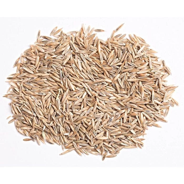 Turf Type Tall Fescue 5 Lb Bag 4 Turf Type Tall Fescue 5 Lb Bag - Image 2