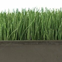 Turf Type Tall Fescue 5 Lb Bag 7 Turf Type Tall Fescue 5 Lb Bag -gardening Sales Store attf5 2 1