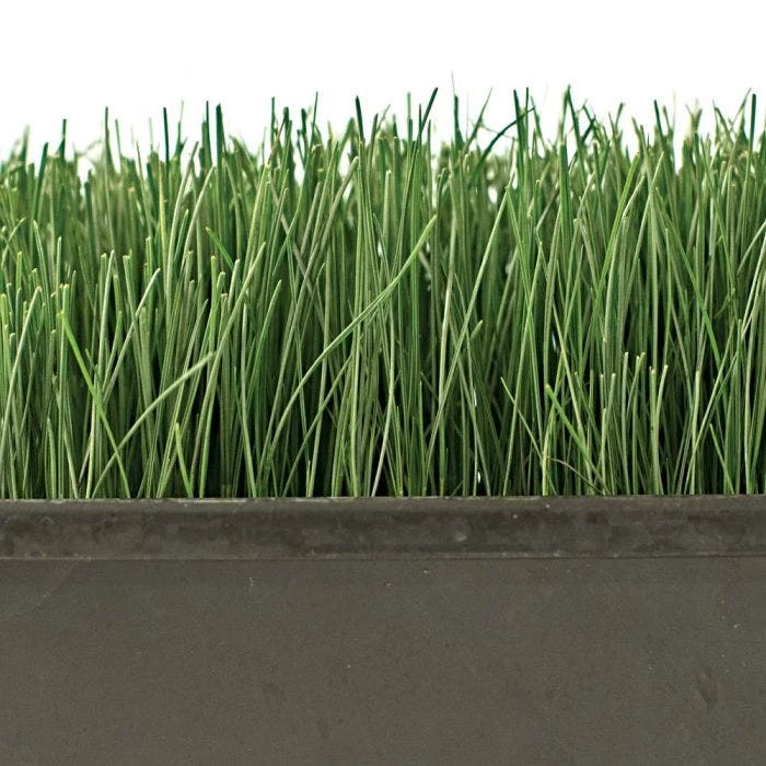 Turf Type Tall Fescue 5 Lb Bag 5 Turf Type Tall Fescue 5 Lb Bag - Image 3