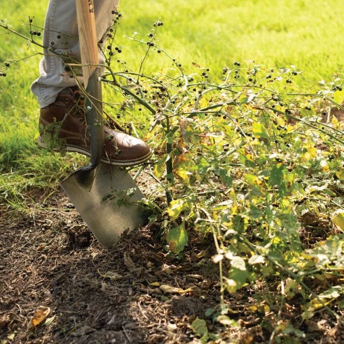 Leonard Forged Round Point Shovel With 48in Ash Handle 6 Leonard Forged Round Point Shovel With 48in Ash Handle - Image 4