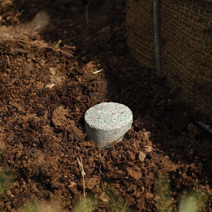 Leonard 10g Fertilizer Tablets For Tree Planting, 2 Year Controlled Release (20-10-5) 5 Leonard 10g Fertilizer Tablets For Tree Planting, 2 Year Controlled Release (20-10-5) - Image 3