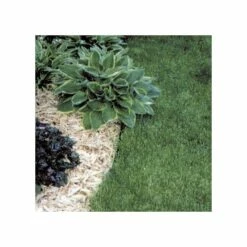 Oly-Ola Super-Edg Plastic Edging