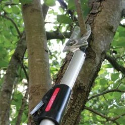 ARS Long Reach Pruner ZR Series 6 To 10 Feet 7 ARS Long Reach Pruner ZR Series 6 To 10 Feet -gardening Sales Store zf185 2